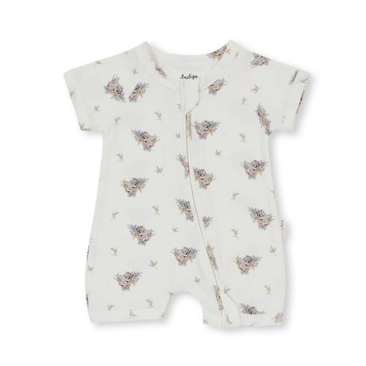 Grayson Short Zipsuit - Koala