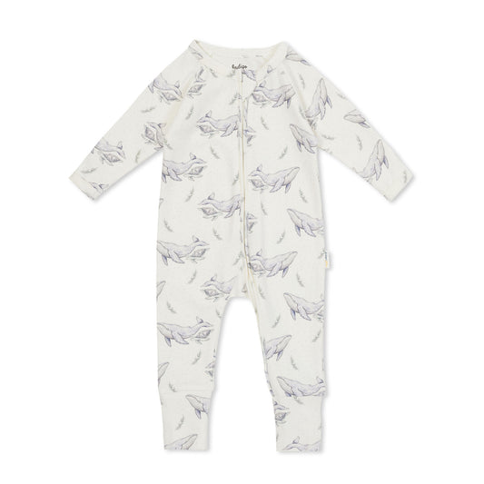 Payton Zipsuit - Humpback Whale